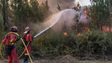 Getty Images Spanish firefighters combat a forest fire in Portugal in 2017