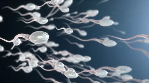 Getty Images Sperm