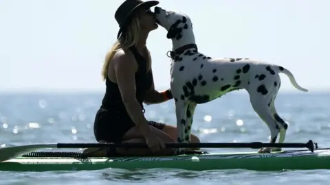 PA Media Dog Masters 2022