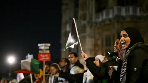 Getty Images Pro-Palestinian supporters