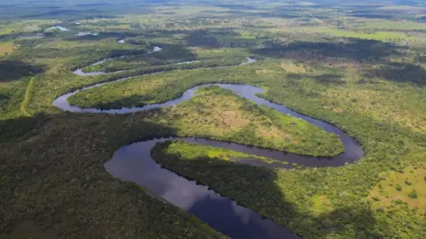 AFP The Pantanal is the largest wetland on the planet located in Brazil, Bolivia and Paraguay