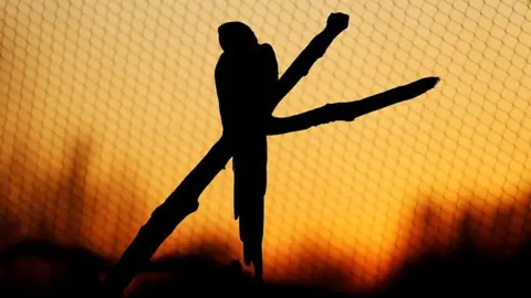 Getty Images A parrot at dusk