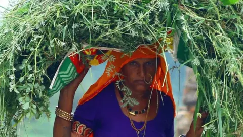 Getty Images Woman carrying fodder on her head on outskirts of village in Rajasthan state