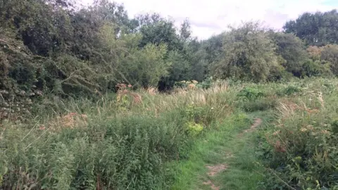 Worcestershire County Council Area where path will be installed