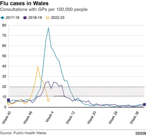 Flu consultation rate chart