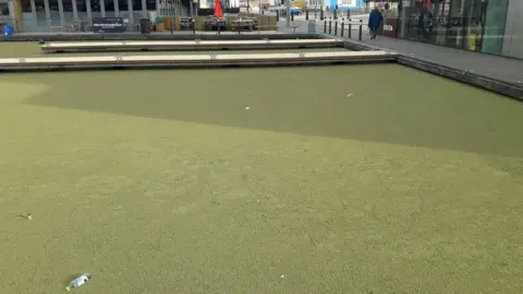 Canal and River Trust Before the clean-up