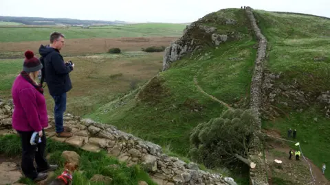 Reuters General view of the Sycamore Gap tree that was felled, in Once Brewed, Northumberland National Park, Britain