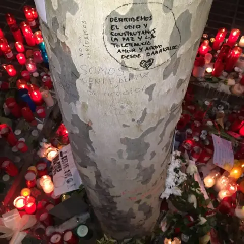 BBC Tree on the Ramblas, Barcelona, 21 August