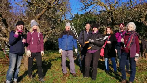David Hodgson members apple pruning