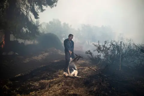 ANGELOS TZORTZINIS / AFP A farmer tries to save his goat during a forest fire in the village of Makrimalli on the island of Evia, northeast of Athens, on 14 August 2019.