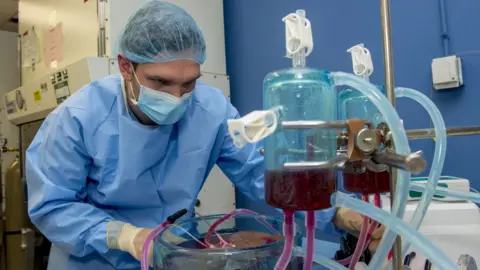 Jeffrey Andree, Reinier de Vries and Korkut Uygun Scientists working on supercooled liver