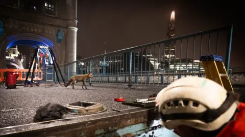 PA Media A fox looks on as an engineer works on part of the bridge during the night