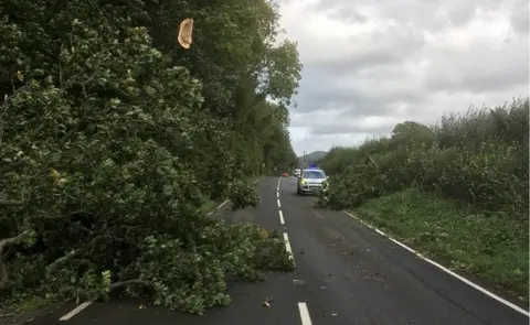 Dyfed Powys Police A tree branch blocking the road