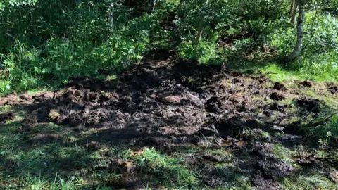 Tony Hoskins Peat bog resting place of the Spitfire