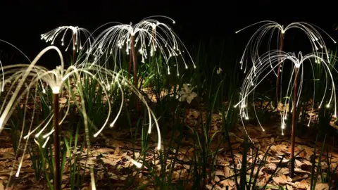 Bruce Munro Bruce Munro