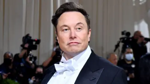 Getty Images Elon Musk at the 2022 Met Gala.