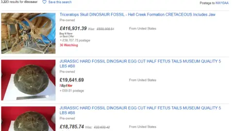 Beth Timmins/ eBay eBay Dinosaur fossil search