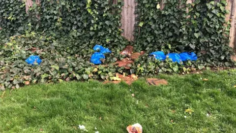 Christine Williams Rotting meat in bushes