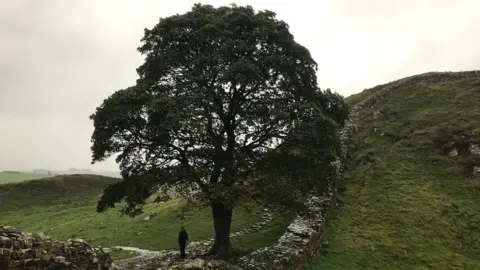 Michael Bode John Barrow at tree