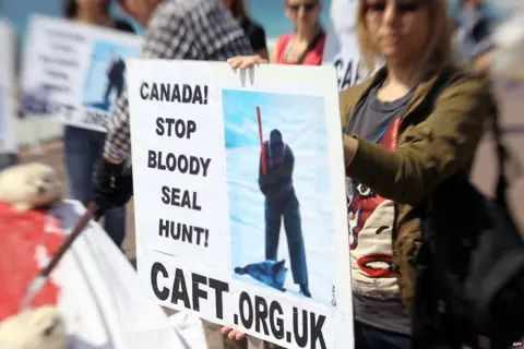 AFP Protest against Canada's seal hunt