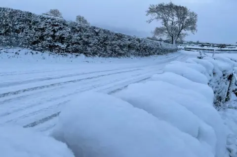 Keswick Boot Co Snow and hedges covered in snow