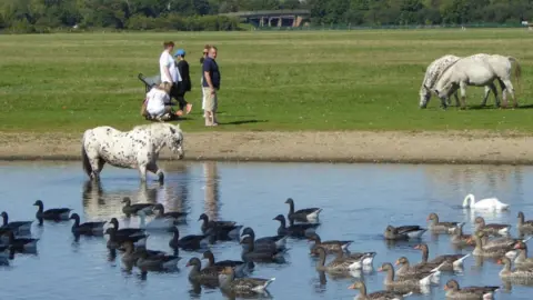 Pauline Massey Bank Holiday at Port Meadow