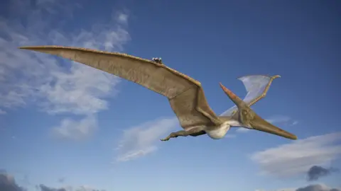 SPL Pteranodon