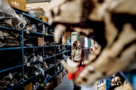 BBC Sarah Metzer framed by a tiger's mouth while in front of many turtle shells on a shelving unit