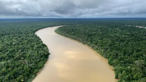 View from military plane, part of search for missing journalist Dom Phillips and his guide Bruno Pereira