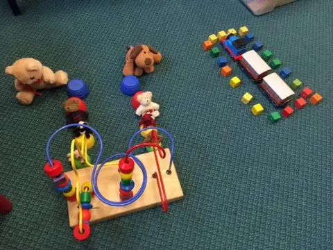 Dr Mary Fok Dr Mary Fok image