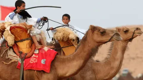 AFP Boys ride camels at Tan-Tan Moussem Berber in Tan-Tan, Morocco - Friday 6 July 2018