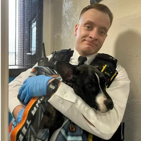 Met Police Joe Allen and Stella