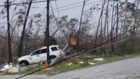 Reuters A car apparently crashed through trees that are twisted and bent in this photo