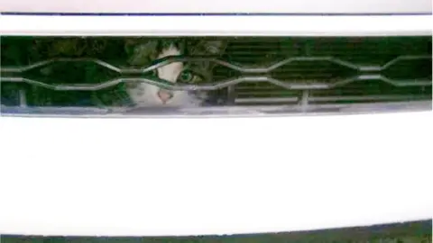 Bakers Recovery Ltd A cat, stuck in a car