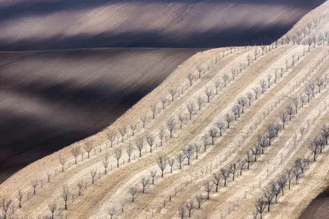 AndreJa Ravnak / TPOTY.COM South Moravia, near Cejc, Czech Republic