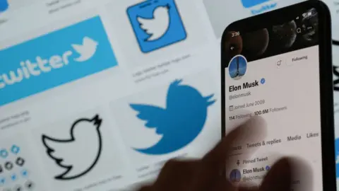 CHRIS DELMAS/AFP An illustration of Elon Musk and twitter