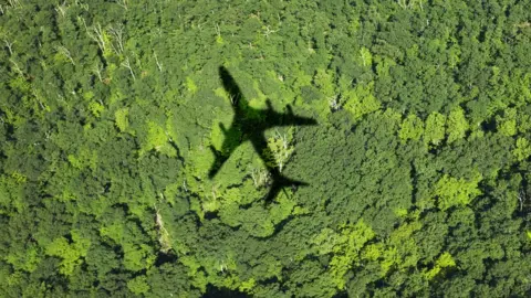 Getty Images Shadow of an airliner on tops of trees