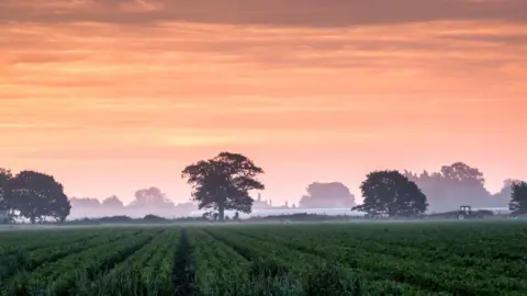 Getty Images Sunrise over Suffolk fields