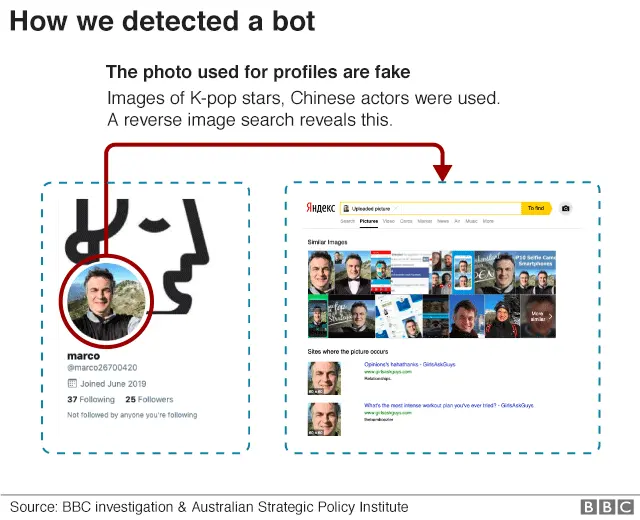 Graphic showing how images were lifted from other profiles to be used as bot profile images