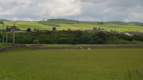 Buccleuch/2020 Renewables Wind farm