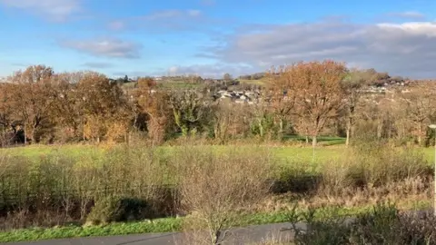 Woods behind Crown Hill estate in Llantwit Fardre