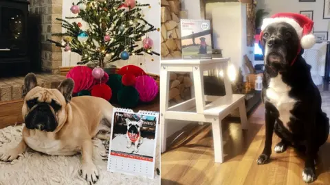 Wag Mr May Eric and cover boy Elvis