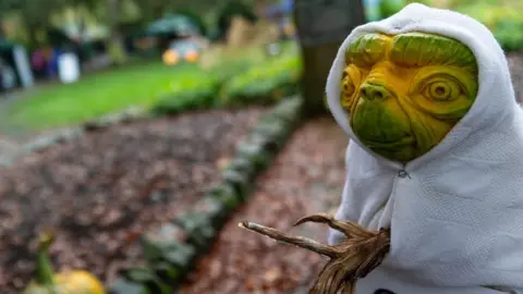 Craig Shaw The Great Pumpkin Festival