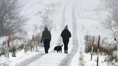 PACEMAKER Taking a walk on the white side in Belfast