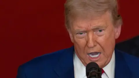 US President Donald Trump speaks into a microphone