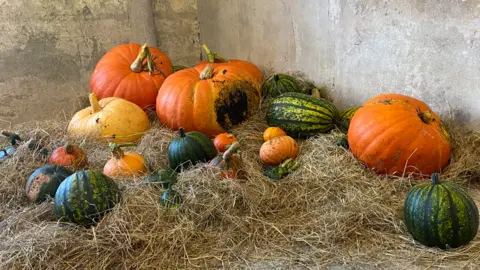 The picture shows a small number of large pumpkins and squashes on a bed of hay.  The photo was taken inside a farmhouse at Barrington Court in Somerset.