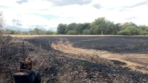 A general view of a grass field, most of which has been burned by fire. It is large field bordered by trees.