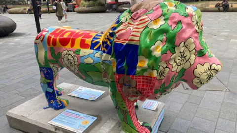 BBC/Kate Linderholm A decorative lion sculpture displayed outdoors on a raised rectangular base. The lion is painted in bright yellow and cream colours and is designed to look like it is wearing a patterned jumper, with detailed stitch-like patterns painted across its body. A cricket bat motif is painted along one side, and the lion’s feet include small decorative designs, such as flowers. The lion is positioned in a walking pose, with one front paw slightly lifted.