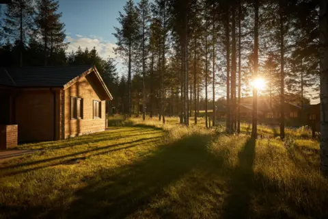 Center Parcs A wooden holiday lodge with the sunlight breaking through surrounding trees and casting shadows across long grass