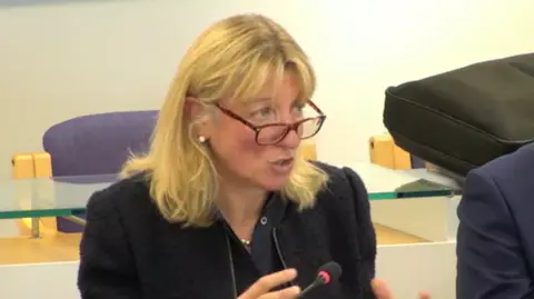 East Sussex County Council Jo Shiner sits speaking to councillors at the panel meeting. She has blond hair and glasses and is wearing a black suit